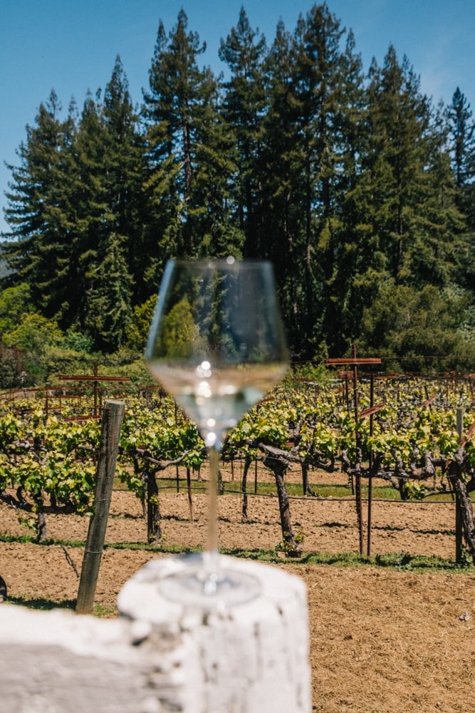 Whimsy Soul - Santa Cruz Wine Mountains (125 of 1)
