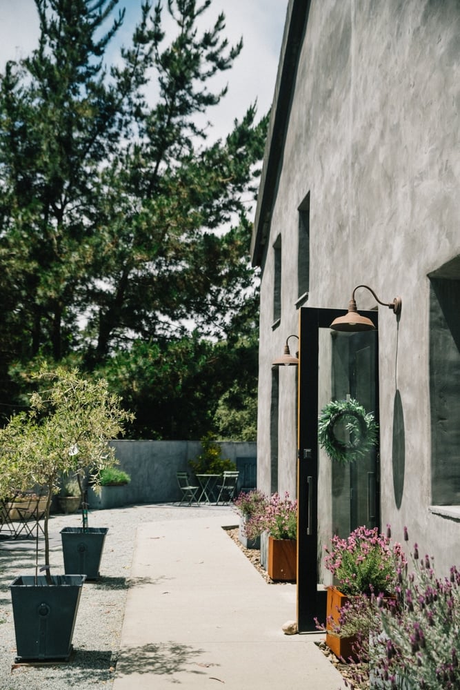 Whimsy Soul - Santa Cruz Wine Mountains (132 of 1)