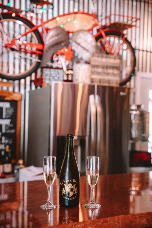 Santa Cruz Wine Tasting Guide: 13 Best Wineries, Itineraries & Travel Tips