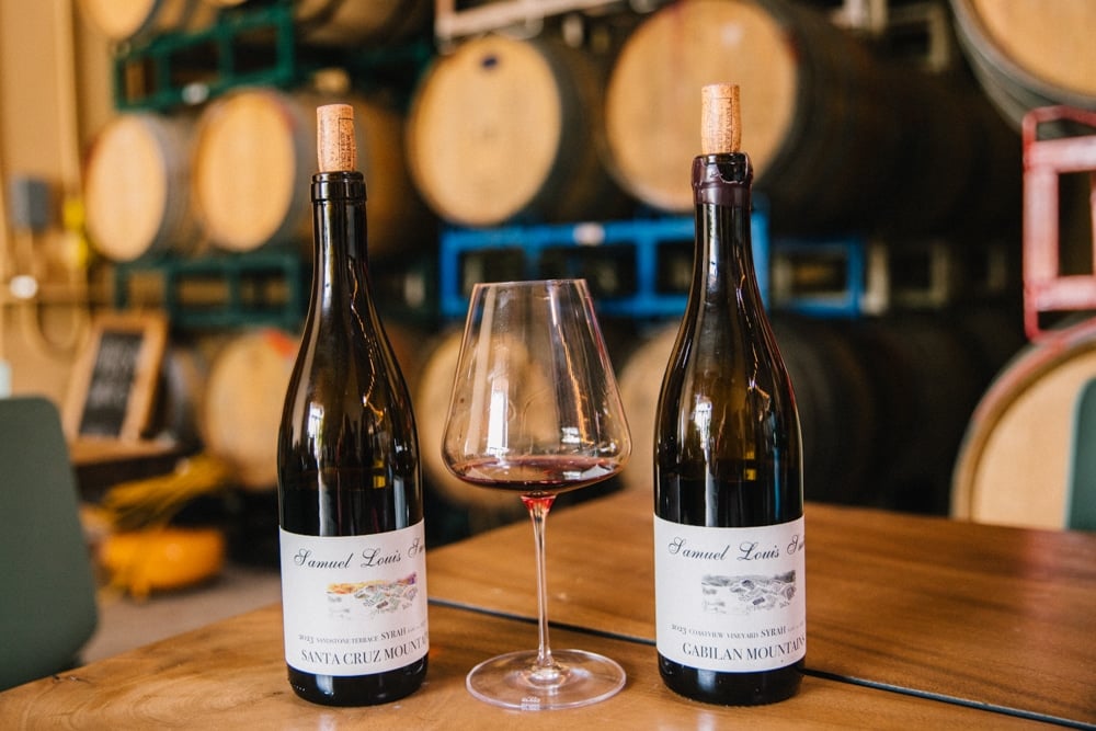 Whimsy Soul - Santa Cruz wine trip (203 of 1)