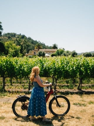 Whimsy Soul - Yountville Napa Valley-125