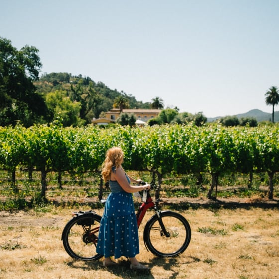 Whimsy Soul - Yountville Napa Valley-125