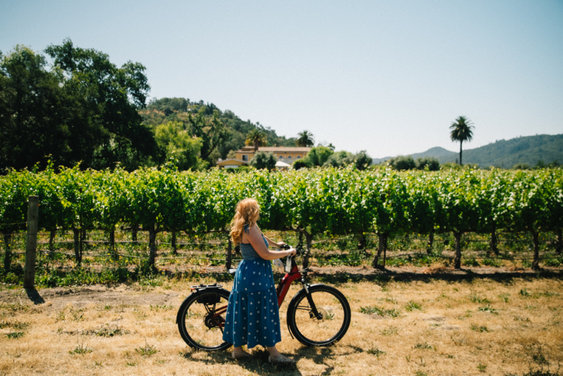 Whimsy Soul - Yountville Napa Valley-125