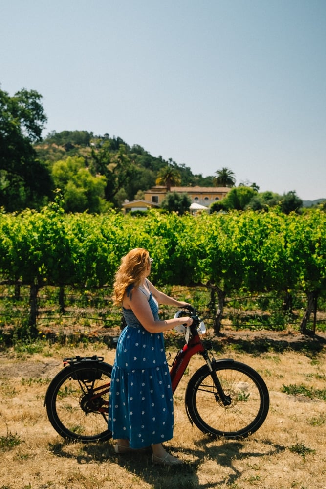 Whimsy Soul - Yountville Napa Valley-126