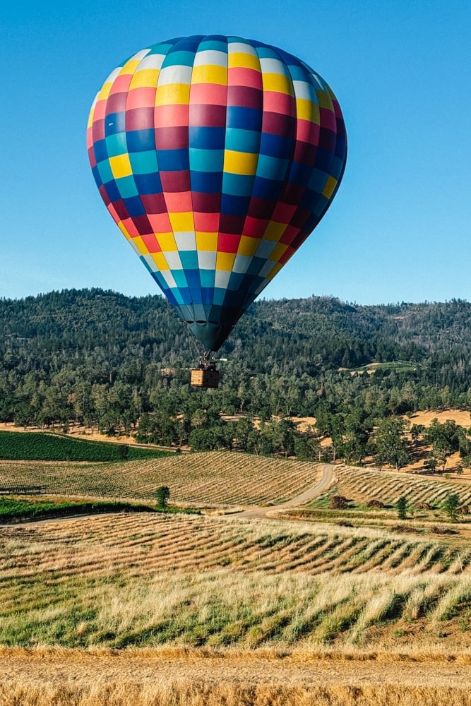 Whimsy Soul - Yountville Napa Valley-148