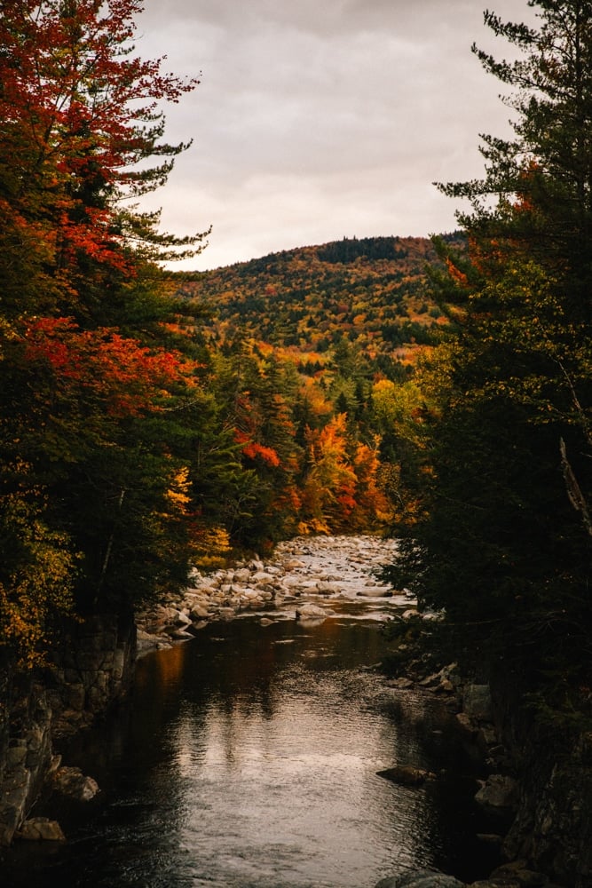 Whimsy Soul - New England Fall Road trip-102