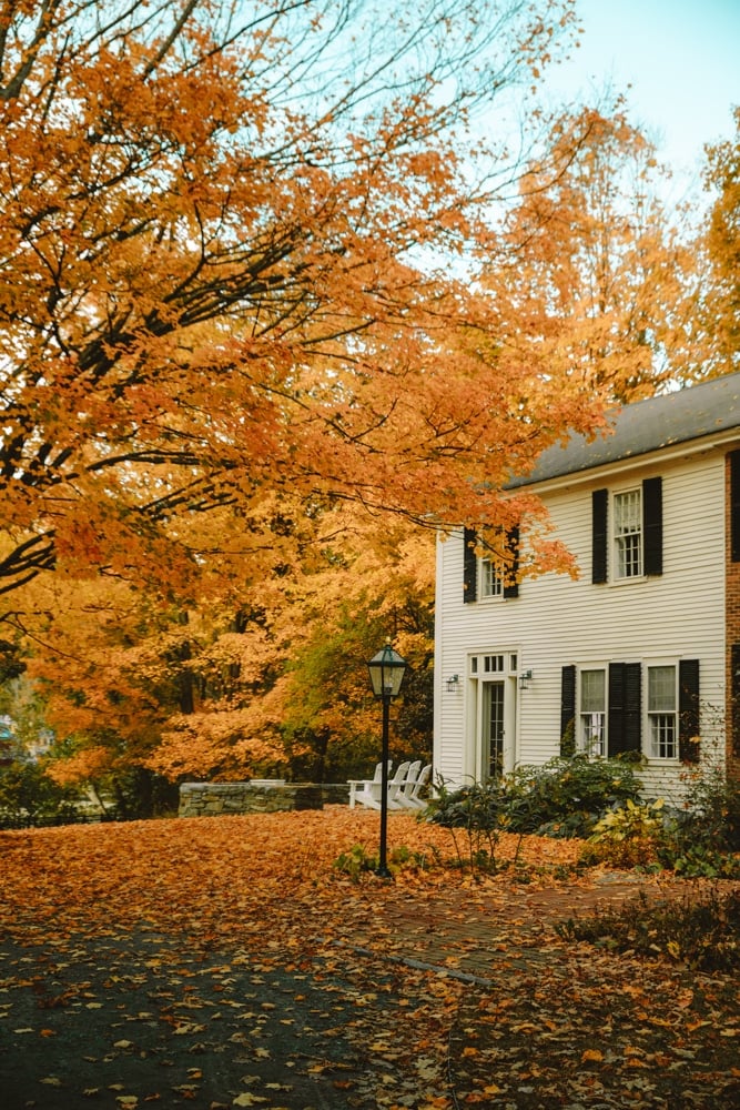 Whimsy Soul - New England Fall Road trip-108