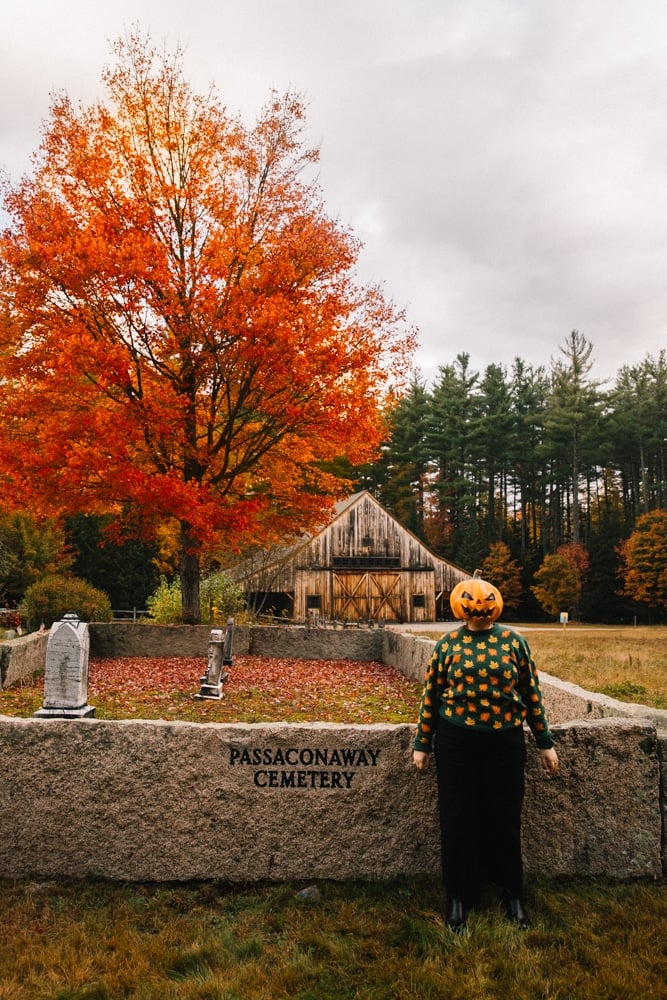 Whimsy Soul - New England Fall Roadtrip-113