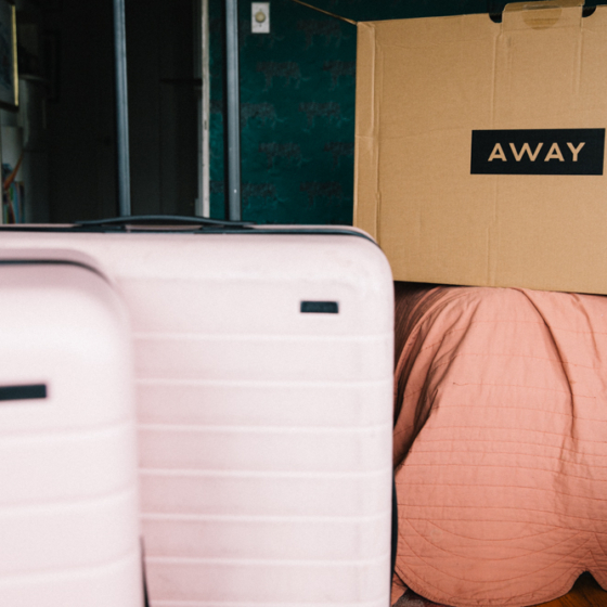 Whimsy Soul - Away Travel luggage review-101