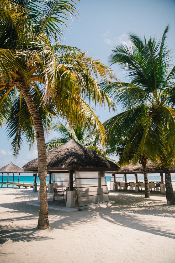 Whimsy Soul - Maldives travel guide-136