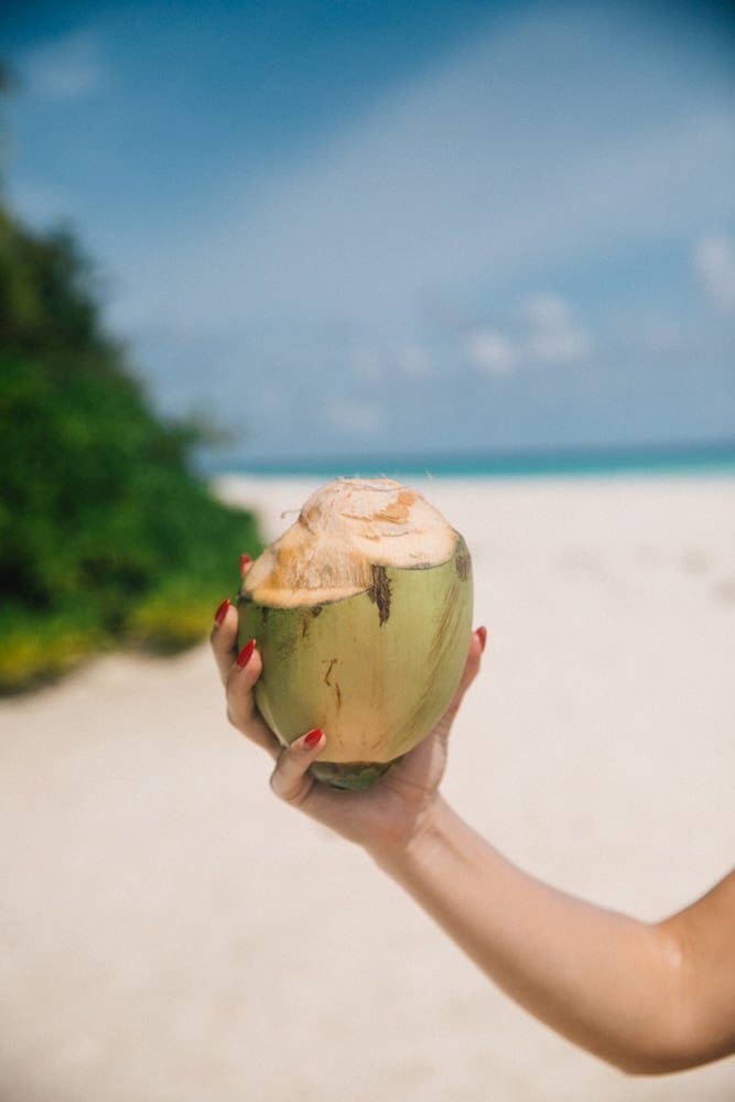 Whimsy Soul - Maldives travel guide-303