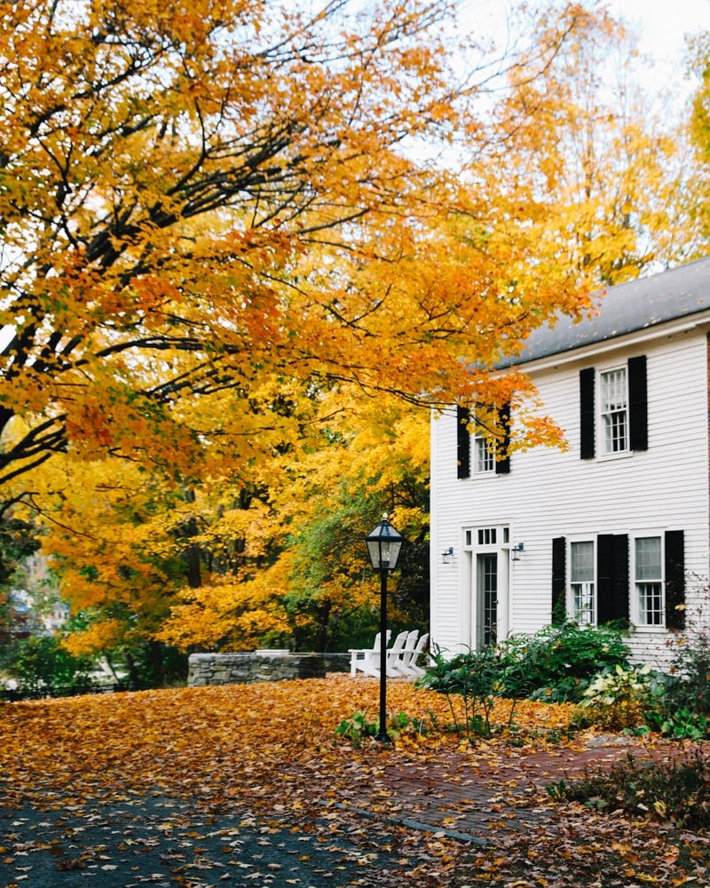 Whimsy Soul - Woodstock Vermont Guide-201