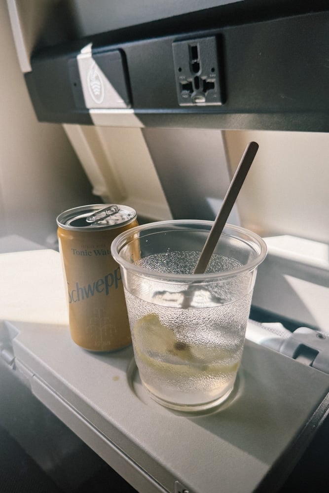 Whimsy Soul - qatar airlines review-104
