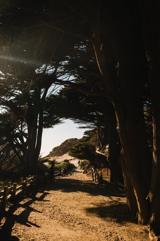 Whimsy Soul - big sur things to do-107