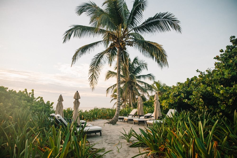 Whimsy Soul - UNICO 2087 Hotel Riviera Maya-115