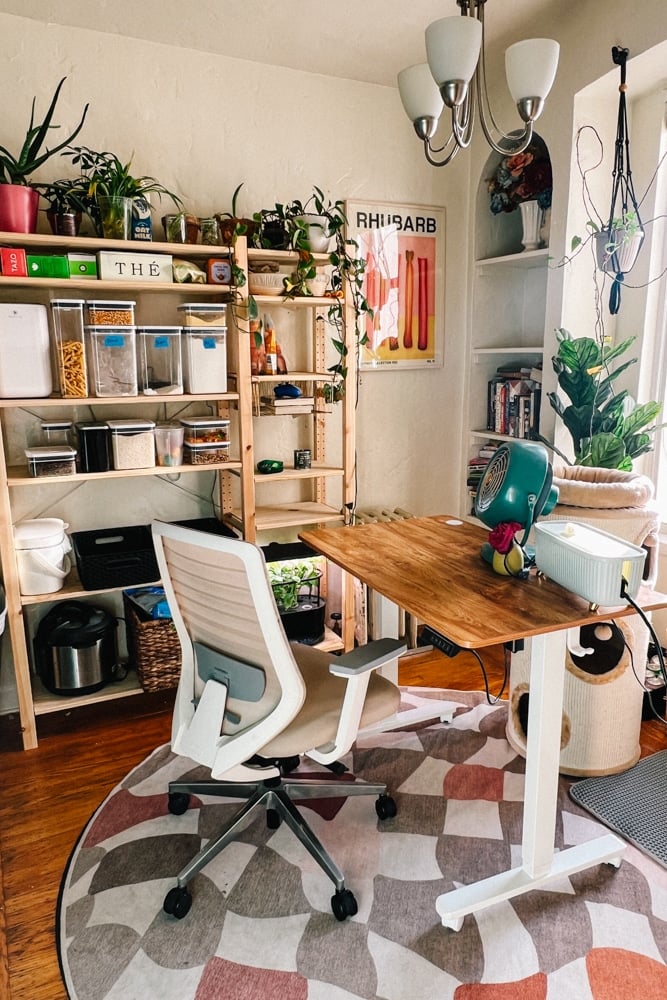 IKEA IVAR Shelf Review After 2 Years of Real Life Use