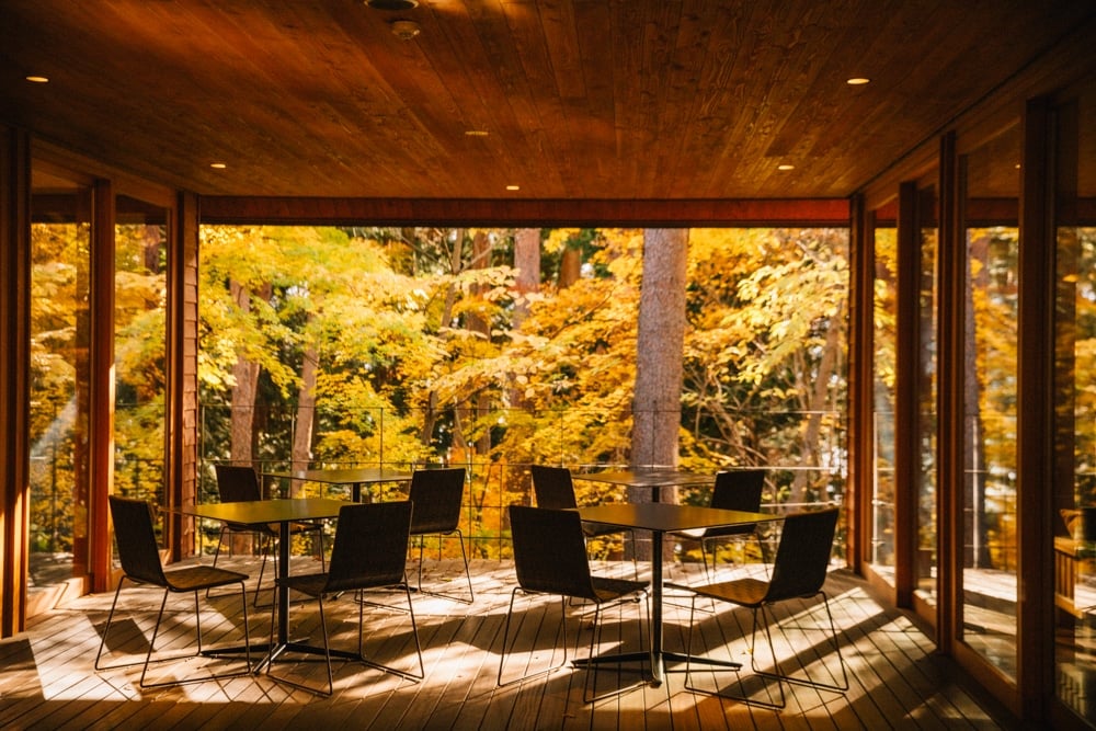 Whimsy Soul - Japan Trip fuji-115 Whimsy Soul - Japan Trip fuji-115