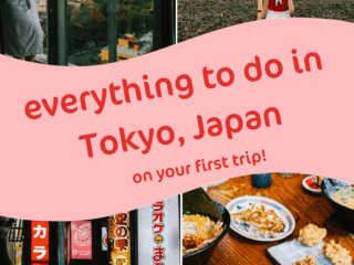 Whimsy Soul - Tokyo Guide Pin 101