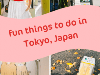 Whimsy Soul - Tokyo Guide Pin 102