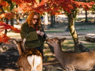 Whimsy Soul - Kyoto itinerary-103