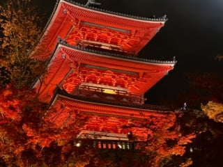 Whimsy Soul - Kyoto itinerary-106