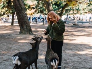 Whimsy Soul - Nara Deer Park Japan-104