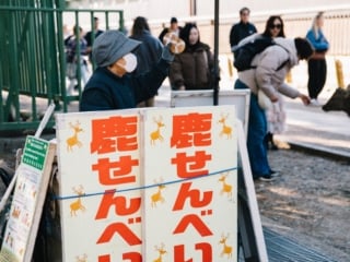 Whimsy Soul - Nara Deer Park Japan-107
