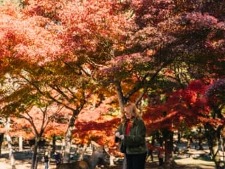 Whimsy Soul - Nara Deer Park Japan-113