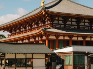 Whimsy Soul - Nara Deer Park Japan-118