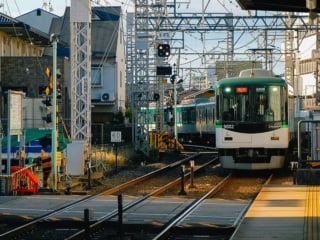 Whimsy Soul - Nara Deer Park Japan-120