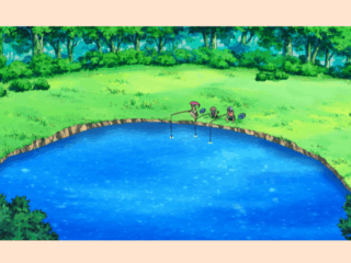 Whimsy Soul Pokemon Japan 114