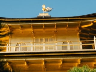 Whimsy Soul - Pokemon Japan places-101