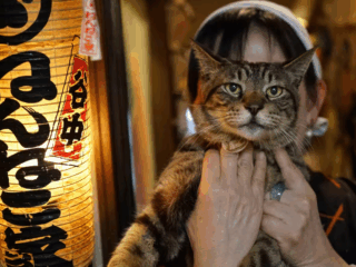 Whimsy Soul - Tokyo Airbns 108