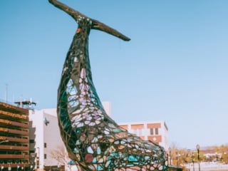 Whimsy Soul - Reno Nevada things to do-101