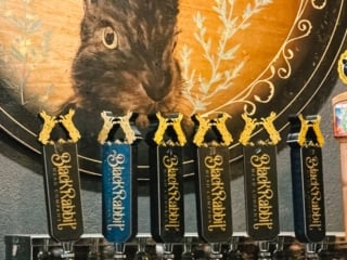 Whimsy Soul - Reno Nevada things to do-114