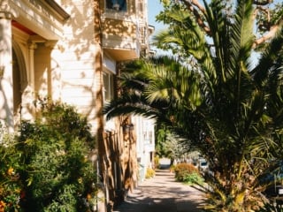 Whimsy Soul - San Francisco Fuji-109