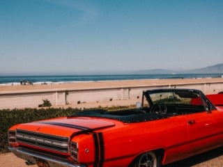 Whimsy Soul - san francisco fuji film-231