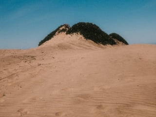 Whimsy Soul - san francisco fuji film-232