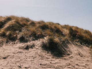 Whimsy Soul - san francisco fuji film-233