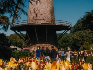 Whimsy Soul - san francisco fuji film-235