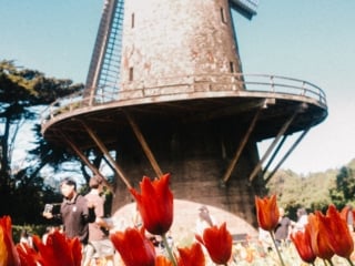 Whimsy Soul - san francisco fuji film-236