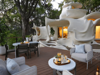 Whimsy Soul Airbnb Austin 108