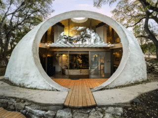 Whimsy Soul - Austin Airbnb 102