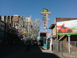 Whimsy Soul - Camp Snap camera-103