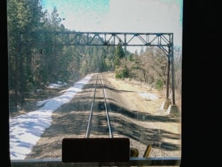 Whimsy Soul - Camp Snap camera-105