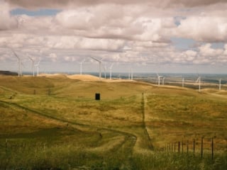 Whimsy Soul - Tri Valley Media Images 2026-109