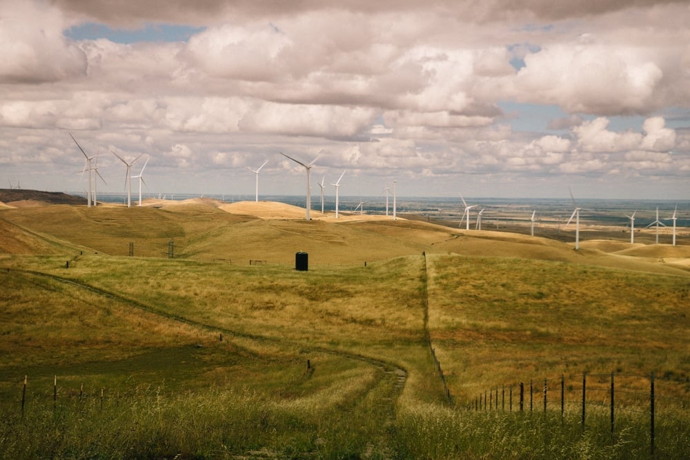 Whimsy Soul - Tri Valley Media Images 2026-109 Whimsy Soul - Tri Valley Media Images 2026-109