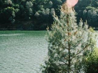 Whimsy Soul - Tri Valley Media Images 2026-146