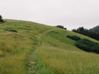 Whimsy Soul - Tri Valley Media Images 2026-165