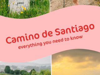 Whimsy Soul - Camino tips pin 101